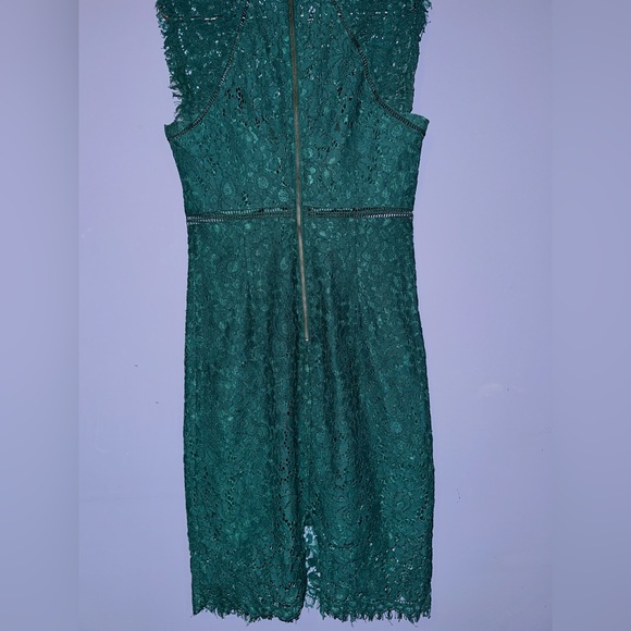 Bardot Lace Knee Length Sheath Dress - Picture 4 of 5